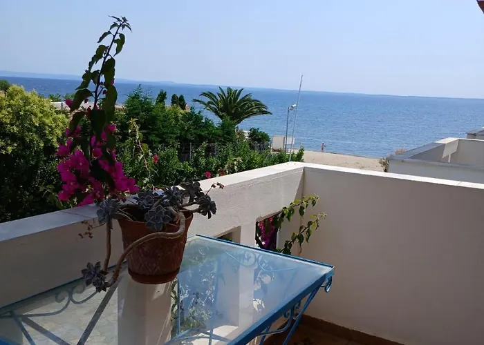 Hara's House 1 基拉奇尼